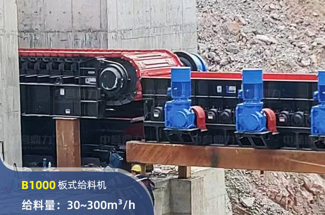 B1000ʽϻ